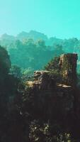 un aéreo ver de un montaña con arboles y rocas video