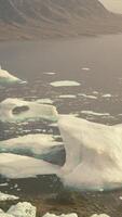 Icebergs floating on water video