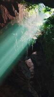 uma hipnotizante verde luz brilhando através a Entrada do uma místico caverna video