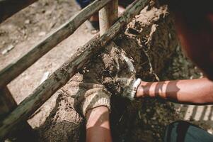 Using wet soil mixed with rice straw to cover with bamboo frames to make earth walls. making walls of houses with earth photo