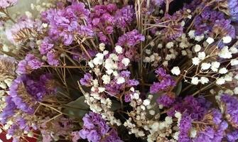 gypsophila flower violet and white bouquet photo