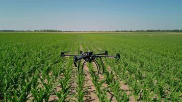 Shot of drone assisted harvest monitoring photo