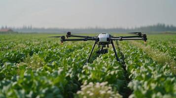 drones equipped with advanced sensors for efficient crop monitoring photo