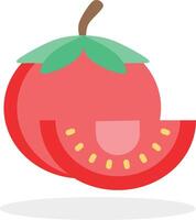 tomatoes illustration design, art and creativity vector