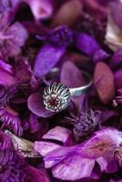 Silver ring with pink stone on a background of dry purple flowers. Handcraft precious item. Jewelry accessories. photo