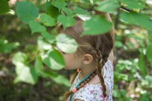 Back view on young girl with blond hair, wearing a white dress and walking in a forest. photo