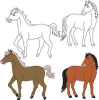 Horse Clipart. Wild Animals clipart collection for lovers of jungles and wildlife. This set will be a perfect addition to your safari and zoo-themed projects. vector