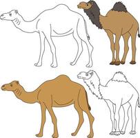 camello clipart. salvaje animales clipart colección para amantes de selvas y fauna silvestre. esta conjunto será ser un Perfecto adición a tu safari y temática del zoológico proyectos vector