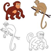 mono clipart. salvaje animales clipart colección para amantes de selvas y fauna silvestre. esta conjunto será ser un Perfecto adición a tu safari y temática del zoológico proyectos vector