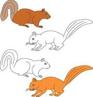 Squirrel Clipart. Wild Animals clipart collection for lovers of jungles and wildlife. This set will be a perfect addition to your safari and zoo-themed projects. vector