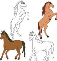 caballo clipart. salvaje animales clipart colección para amantes de selvas y fauna silvestre. esta conjunto será ser un Perfecto adición a tu safari y temática del zoológico proyectos vector