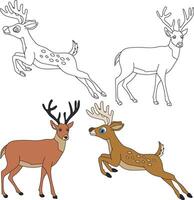 Deer Clipart. Wild Animals clipart collection for lovers of jungles and wildlife. This set will be a perfect addition to your safari and zoo-themed projects. vector