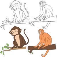 Monkey Clipart. Wild Animals clipart collection for lovers of jungles and wildlife. This set will be a perfect addition to your safari and zoo-themed projects. vector