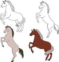 caballo clipart. salvaje animales clipart colección para amantes de selvas y fauna silvestre. esta conjunto será ser un Perfecto adición a tu safari y temática del zoológico proyectos vector