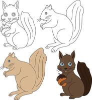 Squirrel Clipart. Wild Animals clipart collection for lovers of jungles and wildlife. This set will be a perfect addition to your safari and zoo-themed projects. vector
