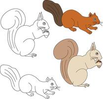 Squirrel Clipart. Wild Animals clipart collection for lovers of jungles and wildlife. This set will be a perfect addition to your safari and zoo-themed projects. vector