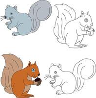 Squirrel Clipart. Wild Animals clipart collection for lovers of jungles and wildlife. This set will be a perfect addition to your safari and zoo-themed projects. vector