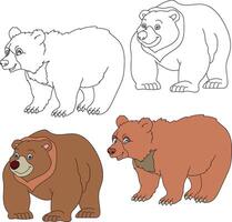 Bear Clipart. Wild Animals clipart collection for lovers of jungles and wildlife. This set will be a perfect addition to your safari and zoo-themed projects. vector