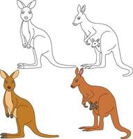 Kangaroo Clipart. Wild Animals clipart collection for lovers of jungles and wildlife. This set will be a perfect addition to your safari and zoo-themed projects. vector