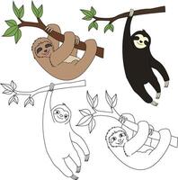 Sloth Clipart. Wild Animals clipart collection for lovers of jungles and wildlife. This set will be a perfect addition to your safari and zoo-themed projects. vector