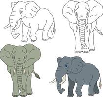 elefante clipart. salvaje animales clipart colección para amantes de selvas y fauna silvestre. esta conjunto será ser un Perfecto adición a tu safari y temática del zoológico proyectos vector