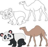 camello y panda clipart. salvaje animales clipart colección para amantes de selvas y fauna silvestre. esta conjunto será ser un Perfecto adición a tu safari y temática del zoológico proyectos vector