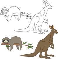 Kangaroo and Sloth Clipart. Wild Animals clipart collection for lovers of jungles and wildlife. This set will be a perfect addition to your safari and zoo-themed projects vector