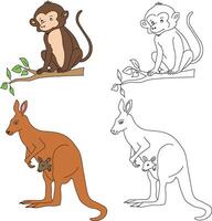 Kangaroo and Monkey Clipart. Wild Animals clipart collection for lovers of jungles and wildlife. This set will be a perfect addition to your safari and zoo-themed projects vector