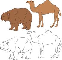 Camel and Bear Clipart. Wild Animals clipart collection for lovers of jungles and wildlife. This set will be a perfect addition to your safari and zoo-themed projects vector
