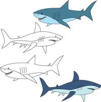 tiburón clipart. acuático animal clipart para amantes de submarino mar animales, marina vida, y mar vida vector