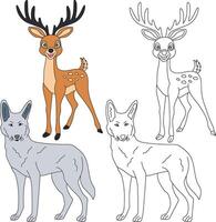 Wolf and Deer Clipart. Wild Animals clipart collection for lovers of jungles and wildlife. This set will be a perfect addition to your safari and zoo-themed projects vector