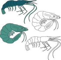 Shrimp Clipart. Aquatic Animal Clipart for Lovers of Underwater Sea Animals, Marine Life, and Sea Life vector
