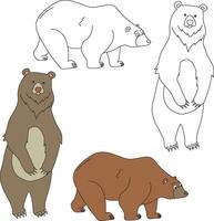 Bear Clipart. Wild Animals clipart collection for lovers of jungles and wildlife. This set will be a perfect addition to your safari and zoo-themed projects. vector