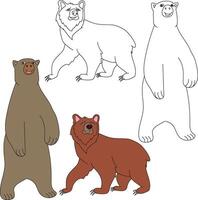 Bear Clipart. Wild Animals clipart collection for lovers of jungles and wildlife. This set will be a perfect addition to your safari and zoo-themed projects. vector