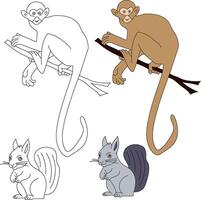 Squirrel and Monkey Clipart. Wild Animals clipart collection for lovers of jungles and wildlife. This set will be a perfect addition to your safari and zoo-themed projects vector