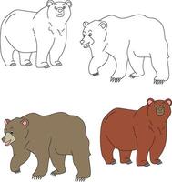 oso clipart. salvaje animales clipart colección para amantes de selvas y fauna silvestre. esta conjunto será ser un Perfecto adición a tu safari y temática del zoológico proyectos vector