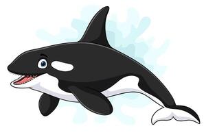 Cartoon killer whale on white background vector