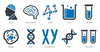 un conjunto de 10 Ciencias y experimentar íconos como cerebro, neurociencia, átomo vector