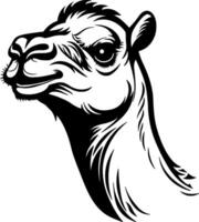 camello cabeza silueta sin antecedentes vector