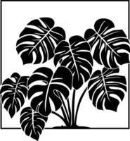 black silhouette of a monstera flower in a square frame without background vector