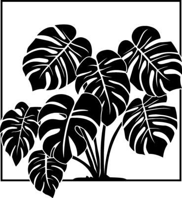 black silhouette of a monstera flower in a square frame without background