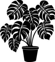 black silhouette of monstera flower without background vector