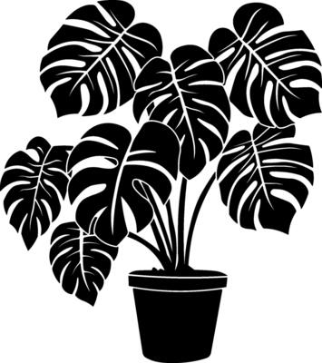 black silhouette of monstera flower without background