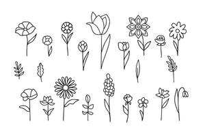 Set of simple flower and plant elements in doodle style. Stylized flowers, plant branches, leaves. Hand drawn simple icons. Symbol of gardening, the arrival of spring, summer. vector