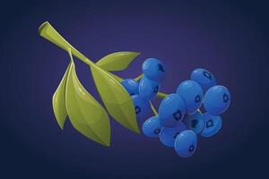 isolated cartoon Twig with blue blueberries and leaves. vector