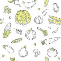 Hand drawn vegetables on white background. Seamless kitchen background of vegetables vector