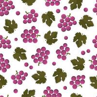 Seamless pattern with berries grape and leaves on a white background. vector