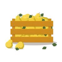 Wooden box set with fruits, Case with pear isolated on white background. vector