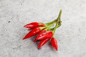 Spicy ripe red fresno pepper photo