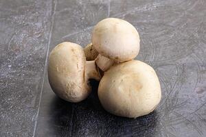 Natural organic ripe champignon mushrooms photo